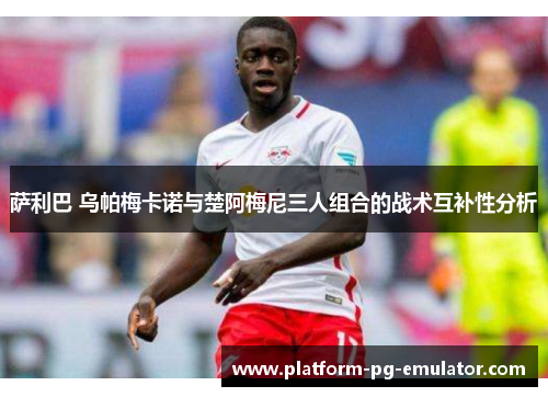 萨利巴 乌帕梅卡诺与楚阿梅尼三人组合的战术互补性分析