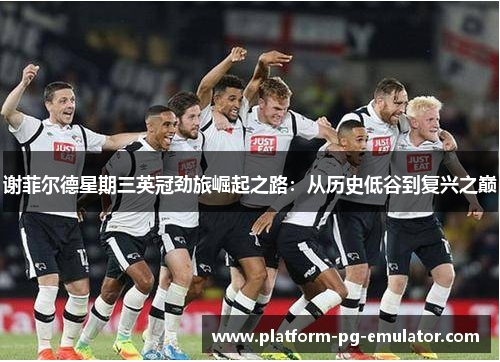 谢菲尔德星期三英冠劲旅崛起之路：从历史低谷到复兴之巅