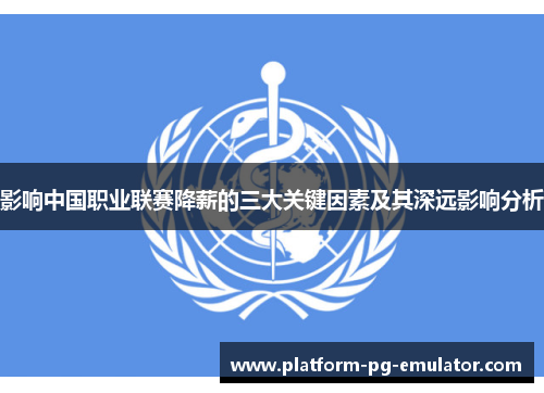 影响中国职业联赛降薪的三大关键因素及其深远影响分析