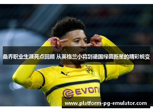 桑乔职业生涯亮点回顾 从英格兰小将到德国绿茵新星的精彩蜕变