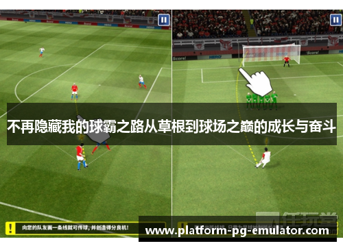 不再隐藏我的球霸之路从草根到球场之巅的成长与奋斗
