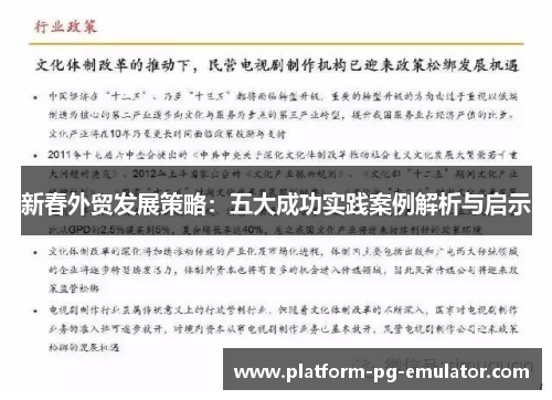 新春外贸发展策略：五大成功实践案例解析与启示
