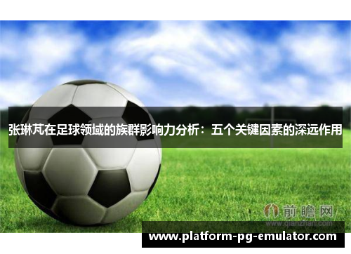 张琳芃在足球领域的族群影响力分析：五个关键因素的深远作用