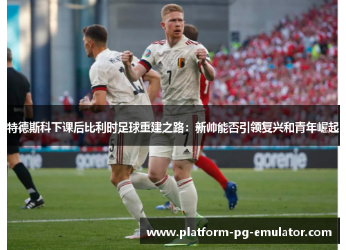 特德斯科下课后比利时足球重建之路：新帅能否引领复兴和青年崛起