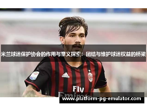 米兰球迷保护协会的作用与意义探索：团结与维护球迷权益的桥梁
