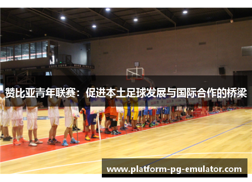 赞比亚青年联赛:促进本土足球发展与国际合作的桥梁 赞比亚青年联赛:促进本土足球发展与国际合作的桥梁