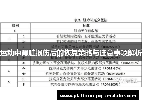 运动中肾脏损伤后的恢复策略与注意事项解析 运动中肾脏损伤后的恢复策略与注意事项解析