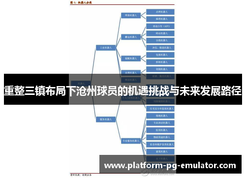 重整三镇布局下沧州球员的机遇挑战与未来发展路径 重整三镇布局下沧州球员的机遇挑战与未来发展路径