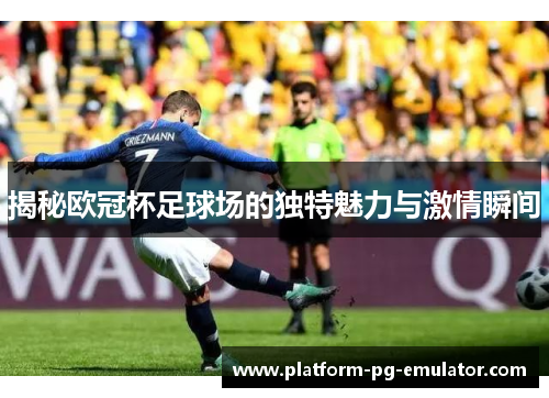 揭秘欧冠杯足球场的独特魅力与激情瞬间