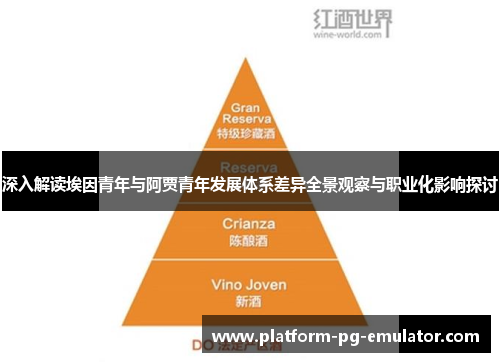 深入解读埃因青年与阿贾青年发展体系差异全景观察与职业化影响探讨