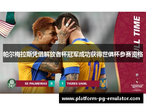 帕尔梅拉斯凭借解放者杯冠军成功获得世俱杯参赛资格