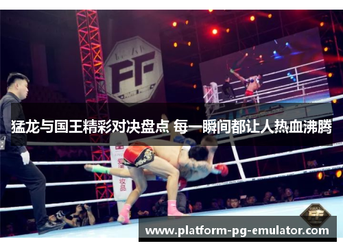 猛龙与国王精彩对决盘点 每一瞬间都让人热血沸腾